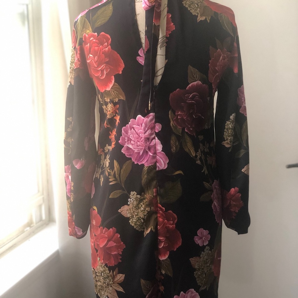 Zara Floral Print Dress